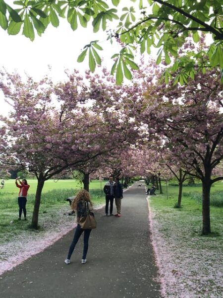 Historic Greenwich Experience Half Day Tour - Frequently Asked Questions