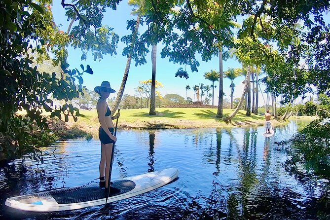 Historic Hilo Bay & Coconut Island SUP Adventure - Highlights of the Paddleboarding Experience
