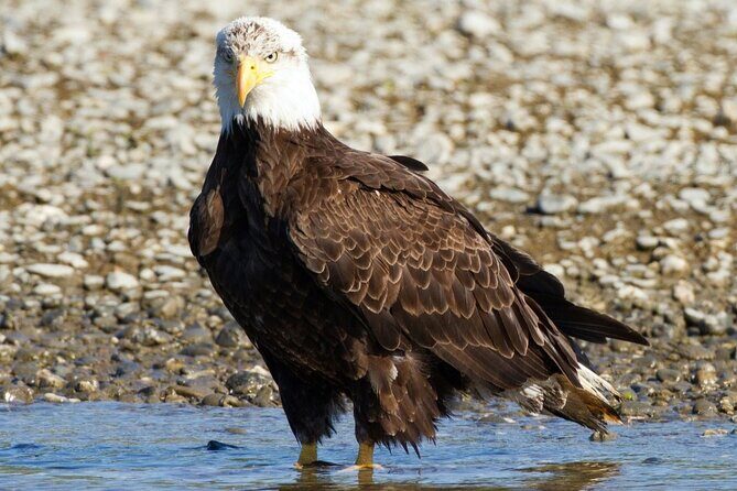 Historic Mail Route Tour - FAQ