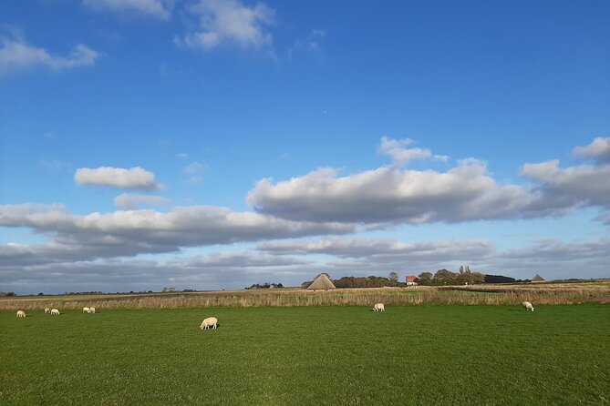 Historic Outdoor Escape in Den Burg Texel - The Sum Up