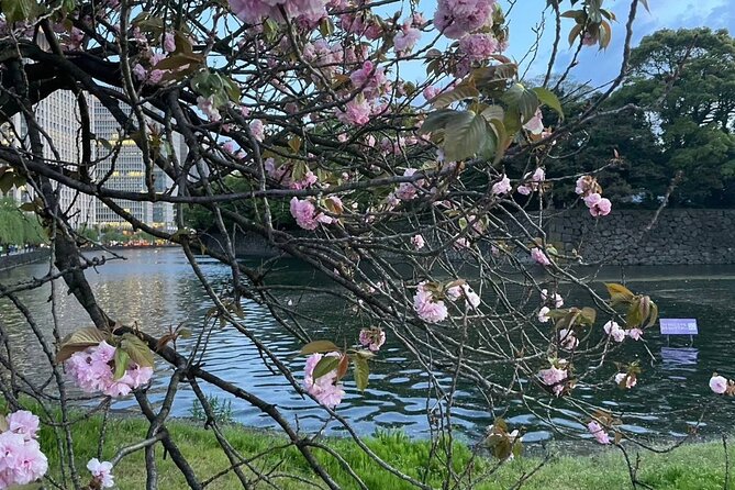 Historic Tokyo Tour, a Journey From Tradition to Modernization - Additional Tour Information