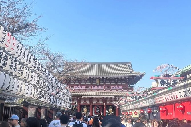 Historic Tokyo Tour, a Journey From Tradition to Modernization - Tour Participation Details