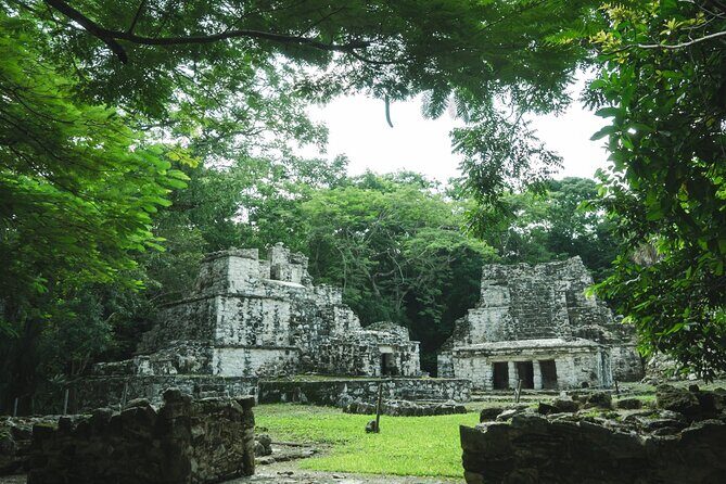 Historic Visit of Cobá with Unique Cenotes - Final Thoughts: Who Will Love This Tour?