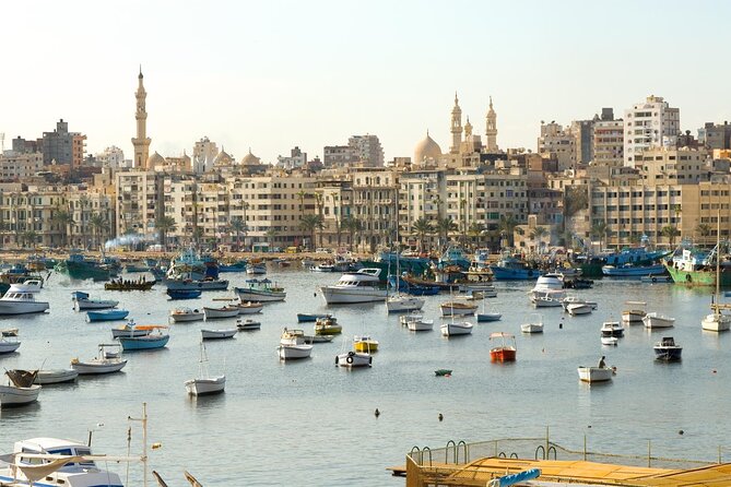 Historical Alexandria Full Day Tour From Cairo - Guide & Lunch & Tickets Inc - Tour Logistics and Transportation