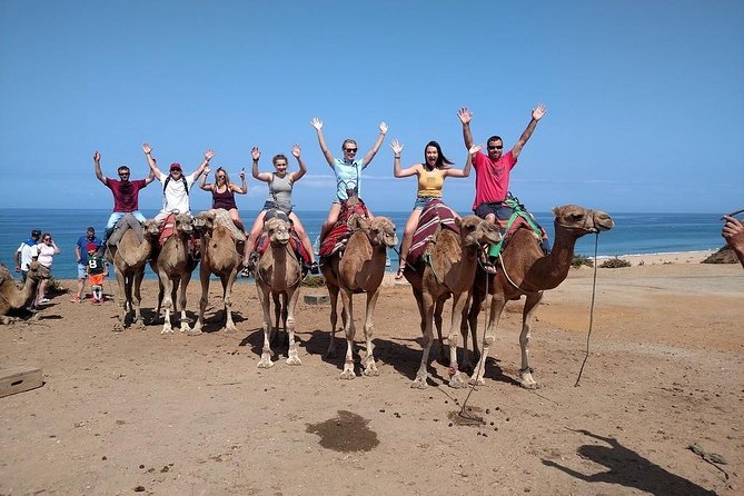 Historical and Cultural Tour of Tangier - Tour Highlights
