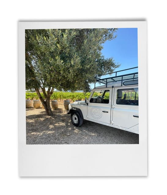 HISTORICAL BODEGA TOUR AND WINE TASTING IN CONSELL - Good To Know