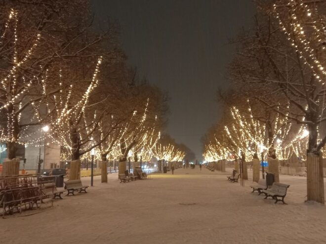 Historical Christmas Market Tour Along the Unter Den Linden - Best Christmas Markets in Berlin