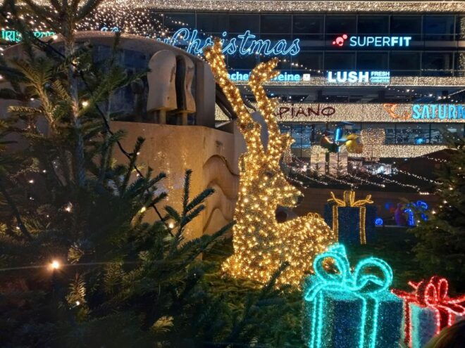 Historical Christmas Market Tour Along the Unter Den Linden - Christmas Lights and Atmosphere at Night