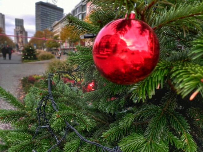 Historical Christmas Market Tour Along the Unter Den Linden - The Sum Up