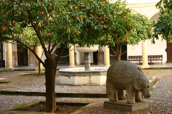 Historical Cordoba Guided Walking Tour - Meeting and Pickup Details