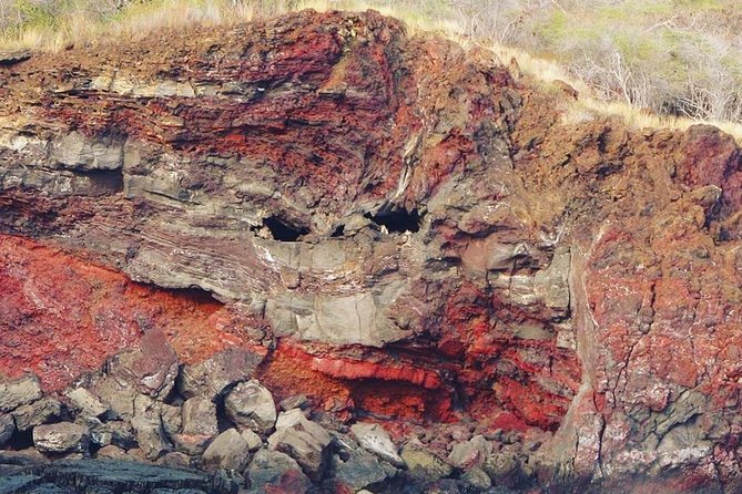 Historical Dinner Cruise to Kealakekua Bay - Positive Reviews and Accommodating Service