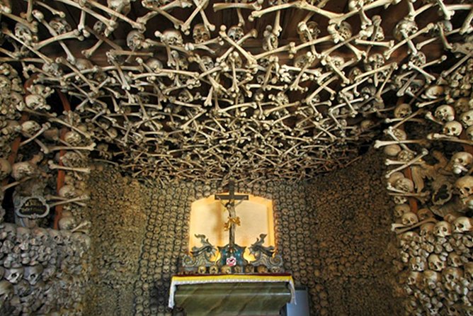 Historical Évora - PRIVATE Full Day Tour - Cork, Wine and Olive Oil Haven - Tour Details and Requirements