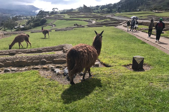 Historical Excursion: Explore Ingapirca's Ancient Wonders - Transportation Details