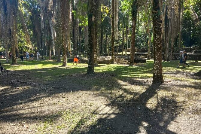 Historical Excursion to Kohunlich With Pickup - Cancellation Policy and Reviews