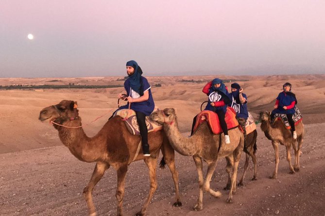 Historical Experience Desert Sunset Dinner Camel Ride & Transfer - Traveler Photos and Reviews