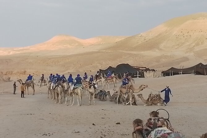 Historical Experience Desert Sunset Dinner Camel Ride & Transfer - Questions and Inquiries