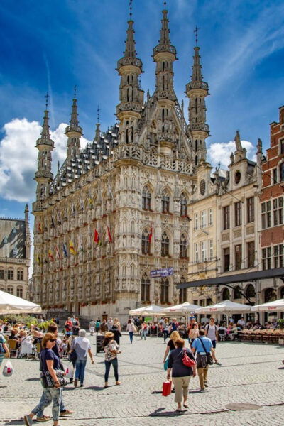 Historical Leuven: Private Tour With Local Guide - Booking Information
