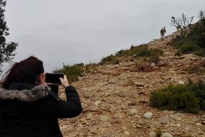 Historical Montserrat Half-Day Hiking Tour From Barcelona - Product Code and Pricing