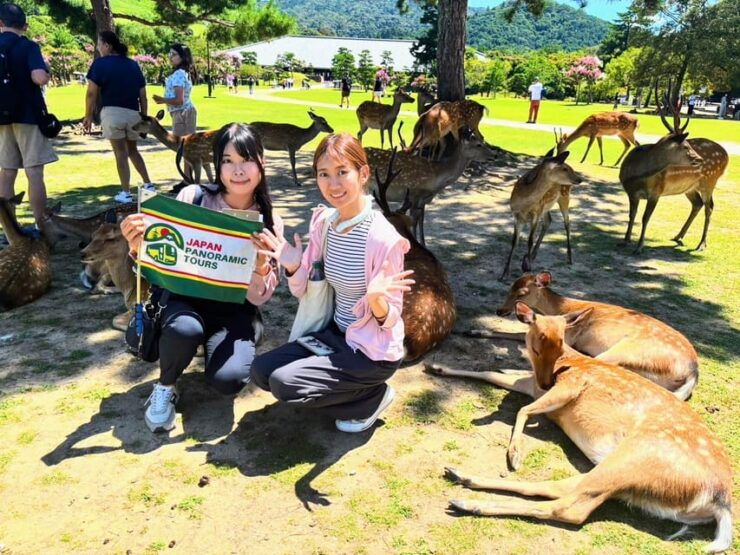 Historical Nara & Kyoto Bus Tour - Itinerary Highlights
