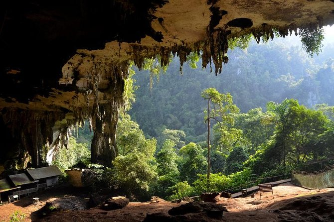 Historical Niah National Park Day Trip From Miri - Tour Highlights