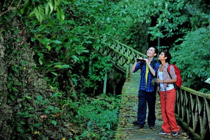 Historical Niah National Park Day Trip From Miri - Pricing and Reviews