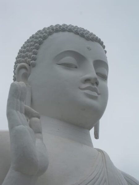 Historical Sri Lanka 5 Days Tour - Essential Travel Tips