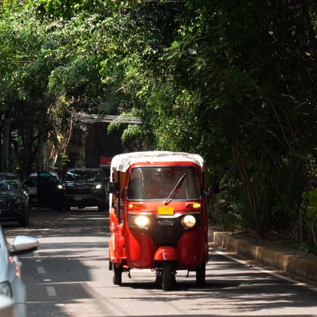 Historical Tour in Tuktuk  Roma Condesa - Hidden Gems of Mexico City: A Review of the Roma & Condesa Tuk Tuk Tour