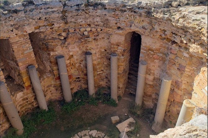 Historical Tour of Ancient Carthage & Sidi Bou Said - Carthages Ancient Ruins