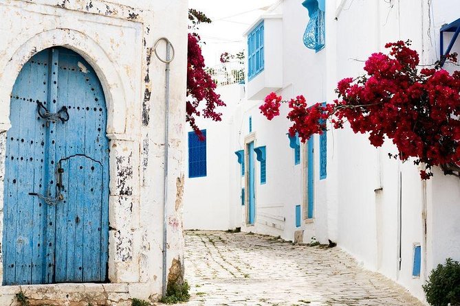 Historical Tour of Ancient Carthage & Sidi Bou Said - Strolling Through the Blue and White Village