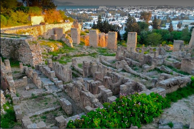 Historical Tour of Ancient Carthage & Sidi Bou Said - Visiting the Enchanting Sidi Bou Said