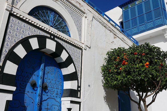 Historical Tour of Ancient Carthage & Sidi Bou Said - Captivating Views of the Mediterranean Sea