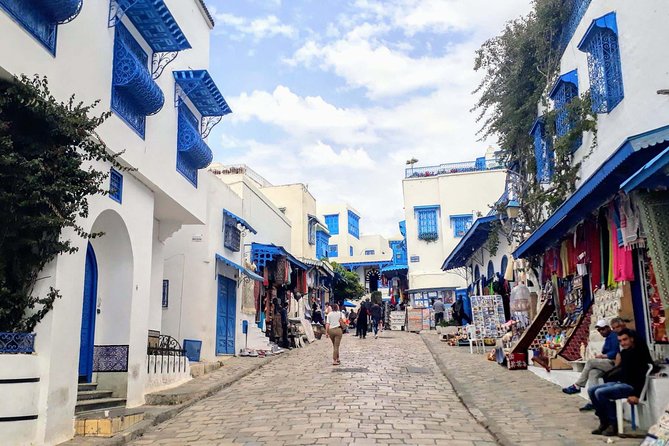 Historical Tour of Ancient Carthage & Sidi Bou Said - The Sum Up