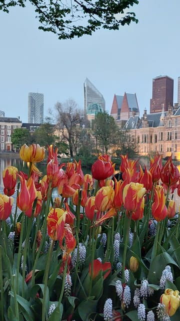Historical Tour of The Hague - Final Thoughts