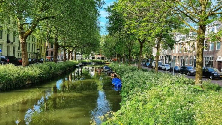 Historical Utrecht: Private Tour With Local Guide - Experience