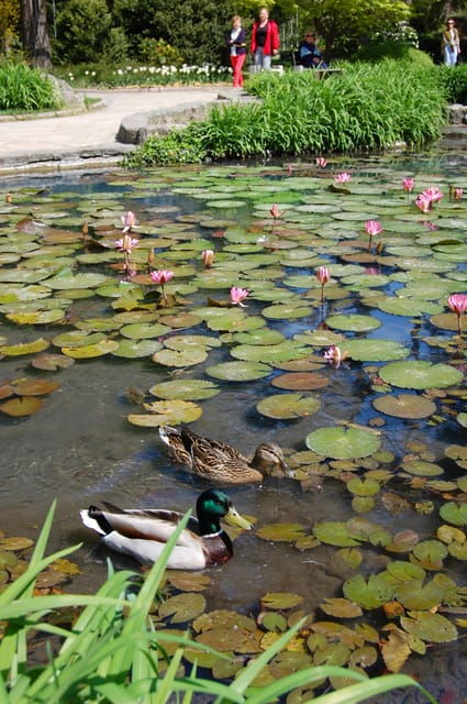 History and Culture Route in Spa Town Piestany - Itinerary Highlights