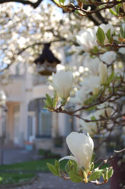 History and Culture Route in Spa Town Piestany - Cultural and Historical Significance