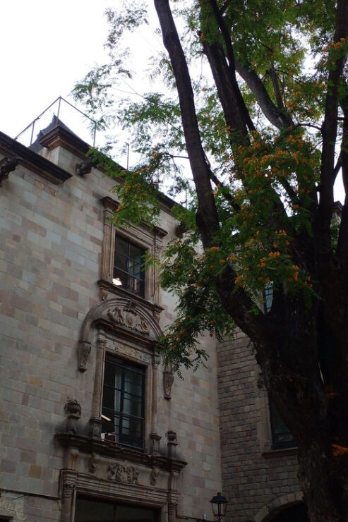 History and Hidden Shops of Barcelona - Highlights and Features