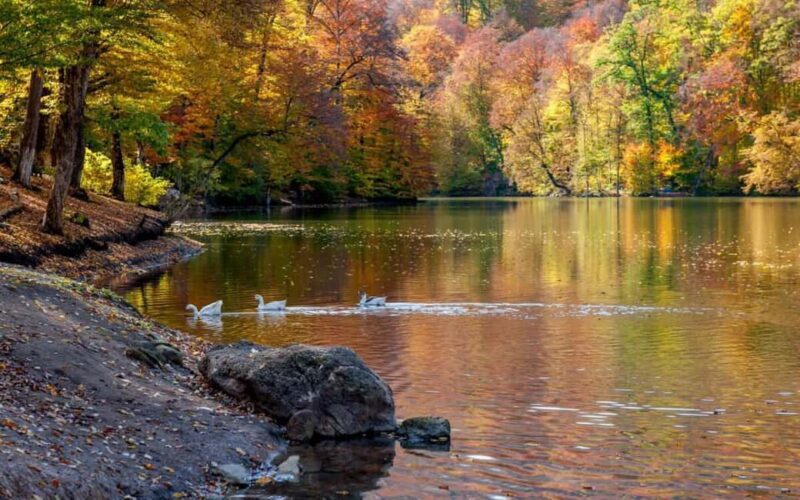 History and nature: Sevan lake, Dilijan, Tsaghkadzor - Good To Know