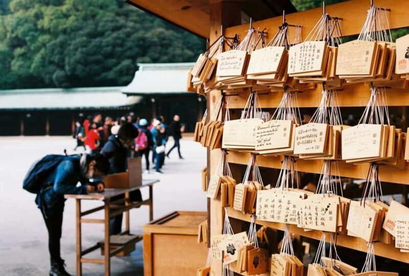 History and serenity at Meiji Shrine and Yoyogi Park  Walking Tour - The Experience in Context