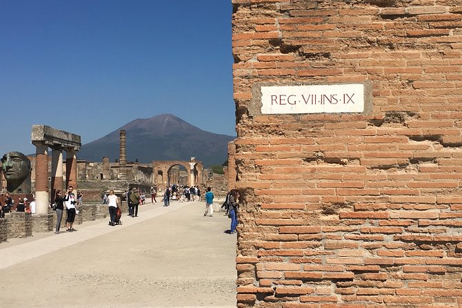 History and Wine - Private Car Service, Guided Tour of Pompeii and Wine Tasting - Inclusions and Booking Information