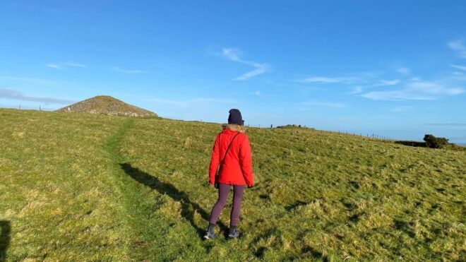 History & Heritage Tour: Kells, Trim, Loughcrew Cairns, Fore - Delving Into the Distillery Experience