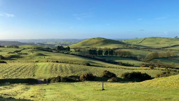 History & Heritage Tour: Kells, Trim, Loughcrew Cairns, Fore - Comfortable and Convenient Transportation