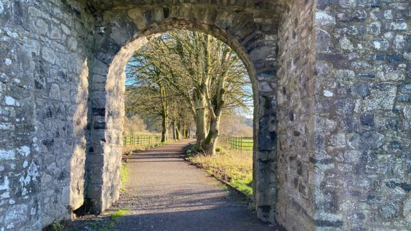 History & Heritage Tour: Kells, Trim, Loughcrew Cairns, Fore - Customer Testimonials and Feedback