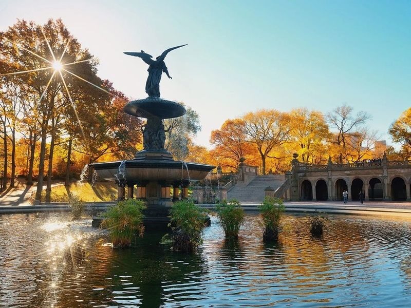 History, Nature and Movie Locations Central Park Pedicab Tour in NYC - Should you book the Central Park pedicab tour?