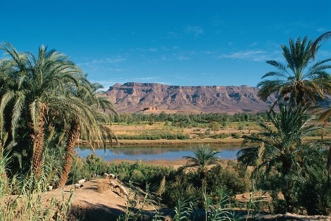 History of Morocco Nature and Adventure Private Circuit 12 Days - Cultural Immersion Activities
