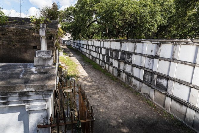 History of New Orleans Private Driving & Walking Tour - Tour Overview