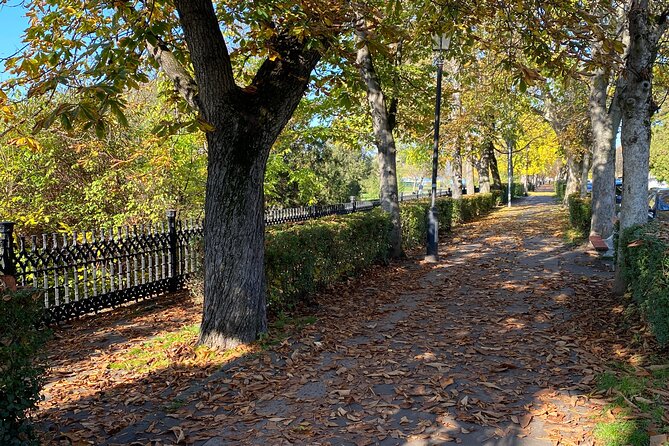 History of Vác With a Young Local Historian - Historical Significance of Vác