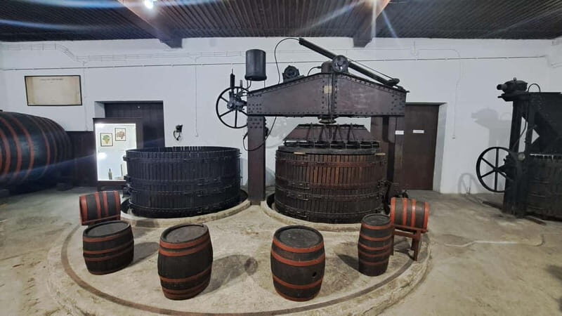 HISTORY WINE & ROYALTY (Avala mountain  Topola  Oplenac) - Who is this tour best suited for?  