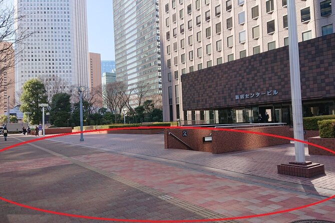 Hitachi National Seaside Parks Flowers & Ashikaga Flower Park - Tour Details