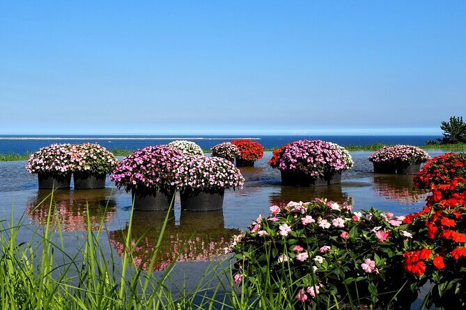 Hitachi Seaside Park and Mito Highlights Tour - Good To Know